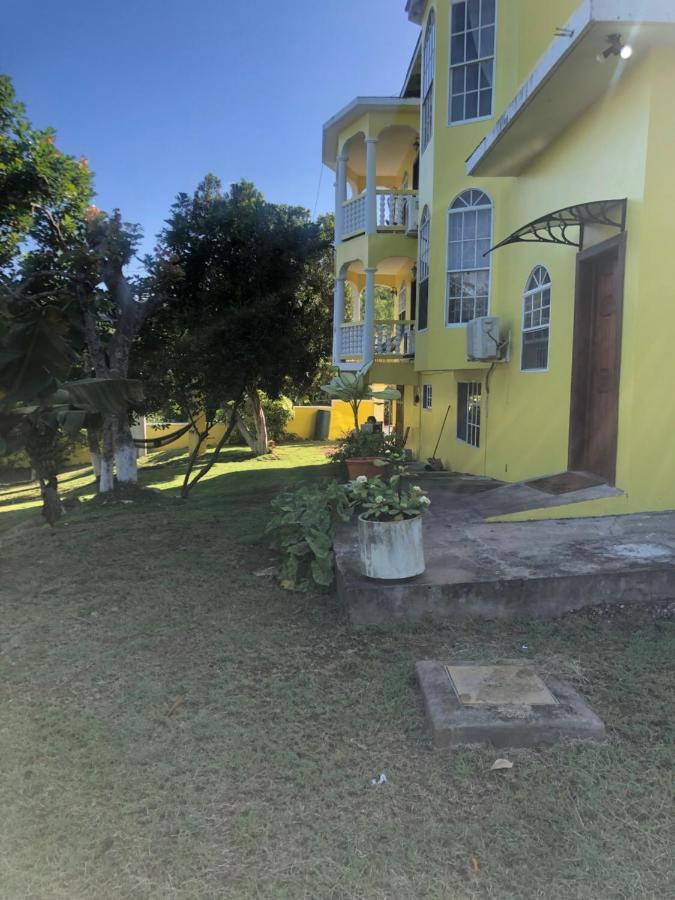 Pura Vida Jamaica Hotel Falmouth Exterior photo
